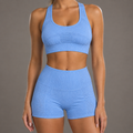 Sculpt Seamless Yoga Set